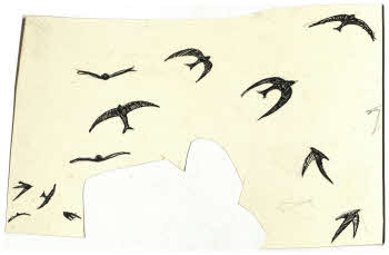 Visualizza l'immagine "FD D 111"